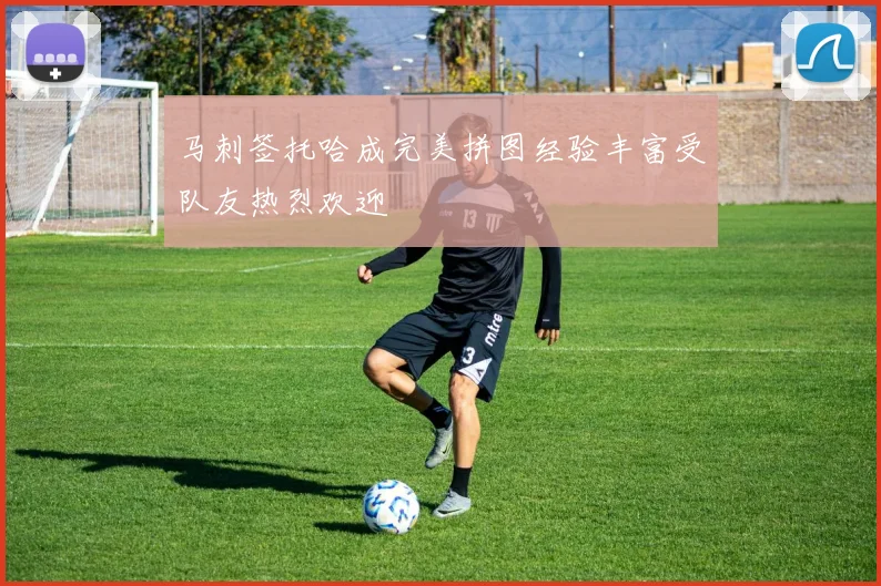 马刺签托哈成完美拼图经验丰富受队友热烈欢迎