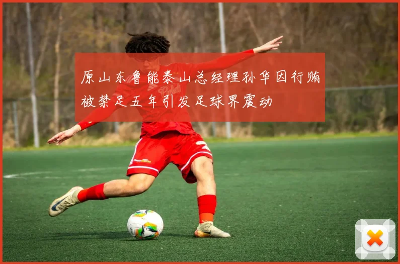 原山东鲁能泰山总经理孙华因行贿被禁足五年引发足球界震动